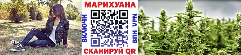 Где купить наркоту Кемерово Гашиш  Псилоцибиновые грибы  Альфа ПВП  Конопля  Меф мяу мяу  COCAIN 