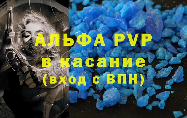 сатива Алексин