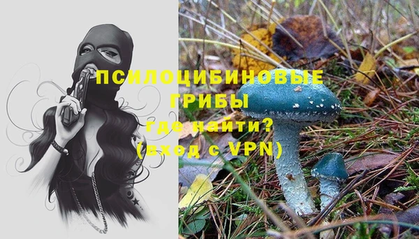 кокс Алексеевка
