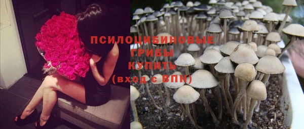 кокс Алексеевка