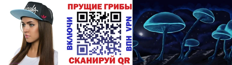 где купить наркоту  Кемерово  Псилоцибиновые грибы Magic Shrooms 